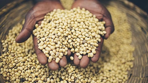 Tamil Nadu’s COVID-19 relief scheme is well-intentioned, but can be more efficient