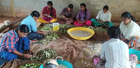 Banana flour: Karnataka women’s novel idea to avoid wastage
