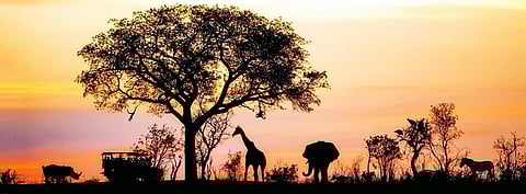 Africa warming faster than rest of world: IPCC Sixth Assessment Report