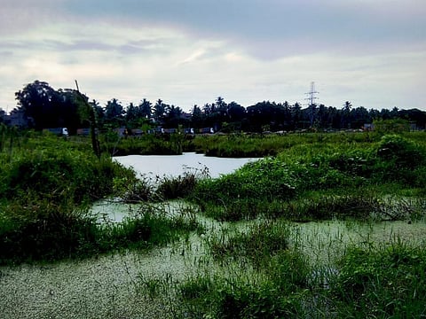 The state of India’s urban wetlands and why they need to be protected urgently