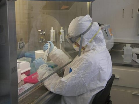 Don’t politicise SARS-CoV-2 origin, WHO says as probe calls grow louder