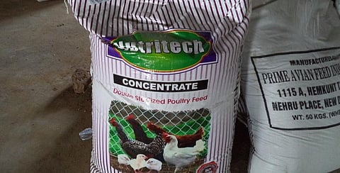 The Union government has okayed the import of a consignment of GM soya meal for the All India Poultry Association to manufacture poultry feed. Photo: Mouna Nagaraju / CSE
