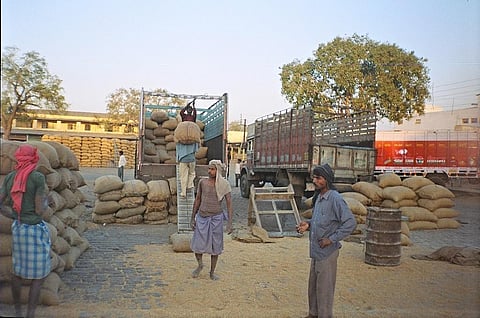 Wheat, rice lost in transit in last 4 years could have fed 82.30 million Indians for a month