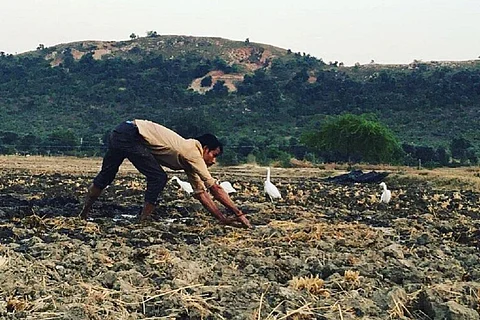 सख्त जमीन पर उम्मीद की फसल बोता बुंदेलखंड का किसान। फोटो: निर्मल यादव