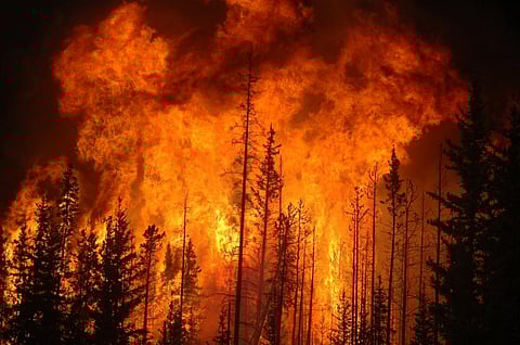 It’s only getting worse: New WMO report flags intensifying climate crisis in Latin America & Caribbean