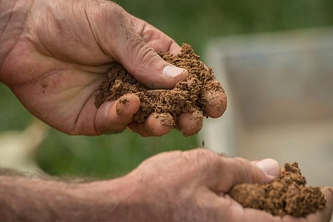 फोटो : विकिमीडिया कॉमन्स