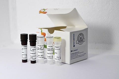 Mucormycosis: Indian scientists develop affordable test kits that can help early detection