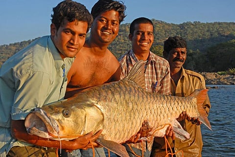 Photo by John Bailey