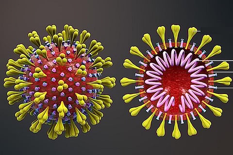 फोटो : विकिमीडिया कॉमन्स