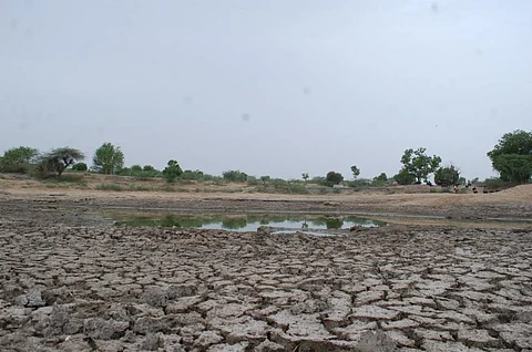 राजस्थान के पाली जिले में बारिश न होने के कारण सूखे जैसे हालात बन गए हैं।