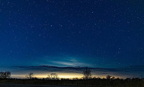 Switch it off!: How light pollution disorients ecosystems