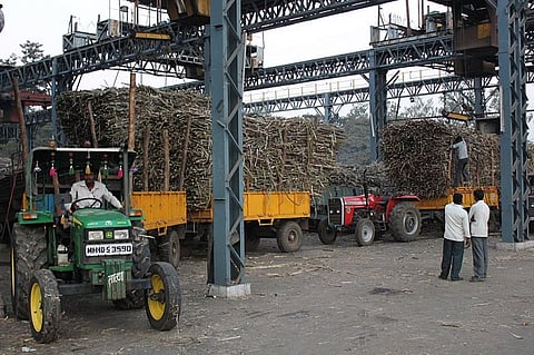 Sugar unit infringes environmental norms: How does it affect lives in Amroha