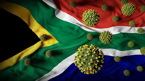 South African health experts have identified a new lineage of SARS-CoV-2: what’s known so far