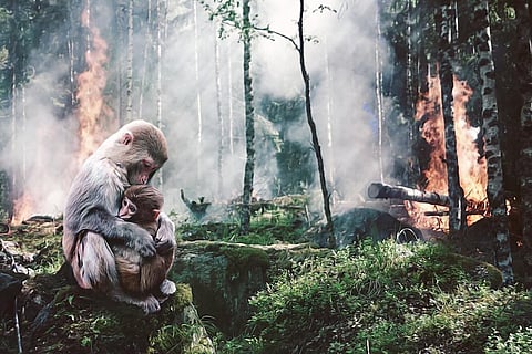 जानवरों के लिए सुरक्षित नहीं दुनिया की 73 फीसदी भूमि, शिकार और पकड़े जाने का है खतरा