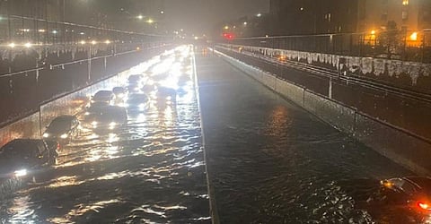 Photo: @cafedujord / Twitter