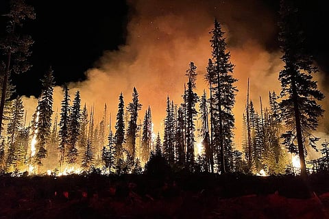 फोटो : विकिमीडिया कॉमन्स