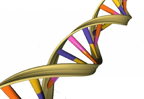 Photo: Wikimedia Commons