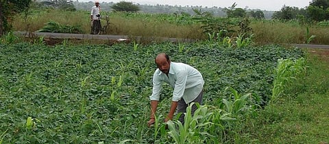 Has bureaucratic bungling led to problems for natural farming scheme in Andhra Pradesh