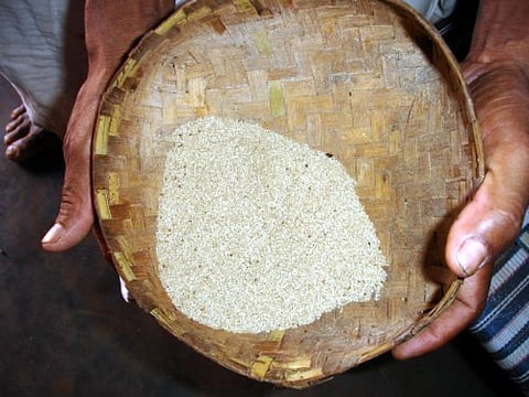 One nation one ration card: Odisha to soon start dry ration scheme for migrant workers