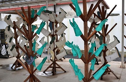 Marburg in Guinea: The value of lessons from managing other haemorrhagic outbreaks