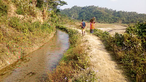How Assam's Bodo community used indigenous knowledge to tackle decades-old water supply problem