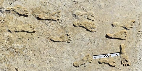Fossil footprints prove humans populated the Americas thousands of years earlier than we thought