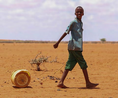 Children born in 2020 will experience 6.8 times more heatwaves than those born in 1960: Report