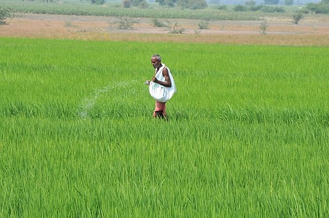 आंध्र प्रदेश के समुद्रतटीय क्षेत्र में किडनी की बीमारी का फैलाव चालीस वर्ष तक के वयस्कों में ज्यादा है। Photo: Agnimirh Basu
