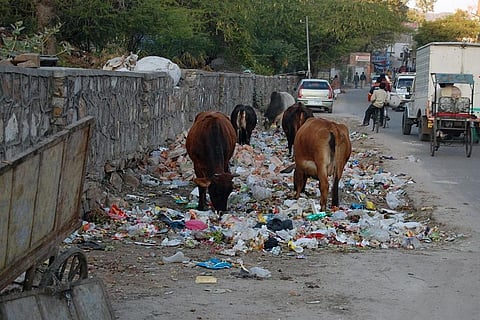 दिल्ली के कचरे से बनेगी बायोगैस, नगर निगम और आईजीएल के बीच समझौता