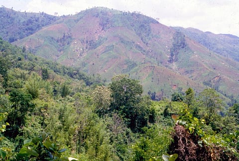 क्या 58 दिन में मिल जाएगा मध्य प्रदेश के सभी ग्राम सभाओं को वन अधिकार?