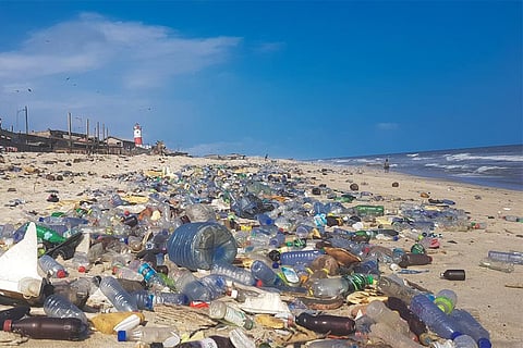 फोटो : विकिमीडिया कॉमन्स