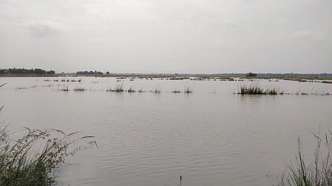 Odisha: Excess September rainfall bridges seasonal deficit, won’t help Kharif yield