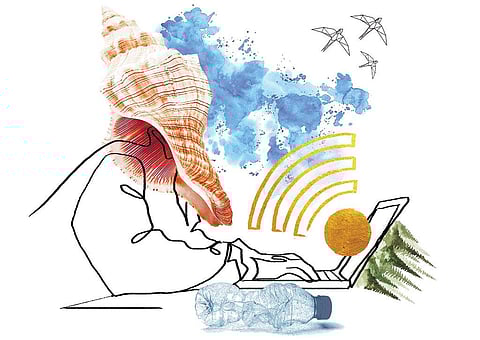 इलस्ट्रेशन: रितिका बोहरा