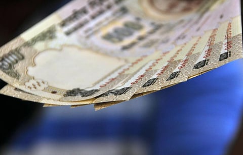 Public banks responsible for $800 billion in damages to nature annually: Report