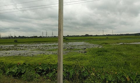 बिहार के कटिहार में खेत में फैला बाढ़ का पानी। फोटो: उमेश कुमार राय