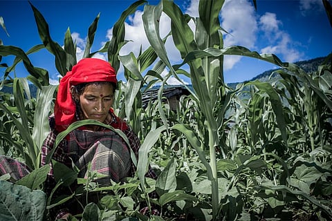 ऐसे भी किया जा सकता है जलवायु परिवर्तन का सामना, हिमाचल के किसानों ने दिखाया रास्ता