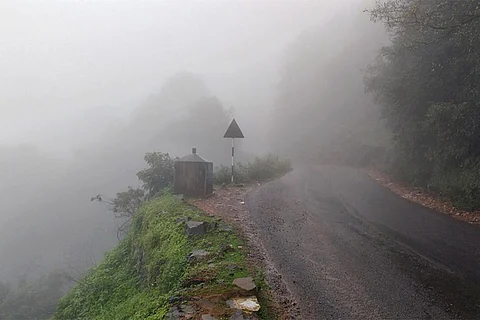 फोटो : विकिमीडिया कॉमन्स