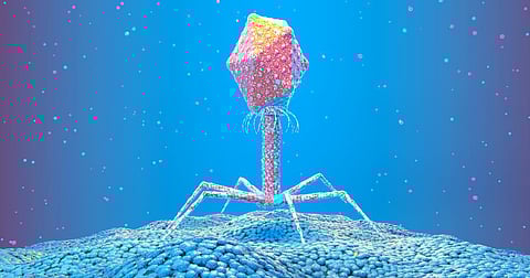 Viruses are both the villains and heroes of life as we know it