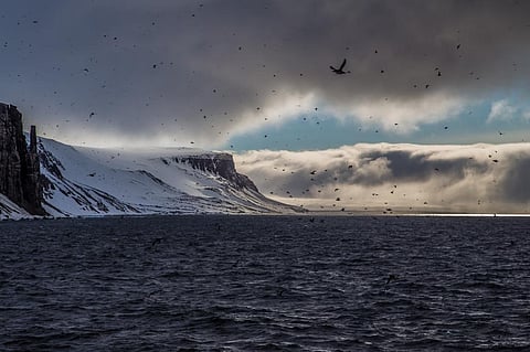 Climate change effect: Northern climes no longer safe haven for migratory animals