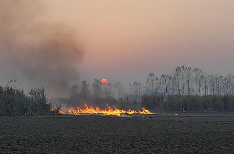 पराली जलाने का इंतजार कर रहे लागत से त्रस्त पंजाब-हरियाणा के किसान