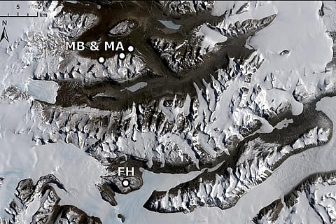 फोटो : साइंस एडवांसेज