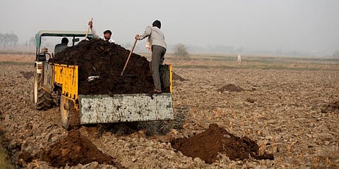 Farmer unloading organic compost in an agriculture field. Photo: istock