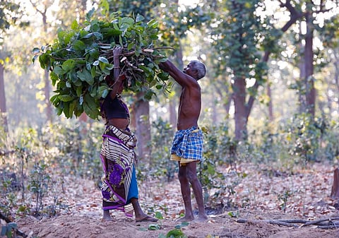 फोटो: विकास चौधरी