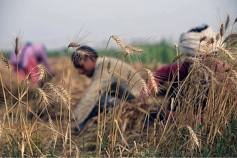 कॉप-26: फण्ड फ्लो में कमी के चलते बढ़ी अनुकूलन की लागत