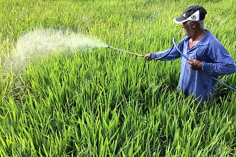 कॉप-26: कृषि को पर्यावरण अनुकूल बनाने के लिए नीतियों में बदलाव करेंगे 26 देश, भारत भी शामिल