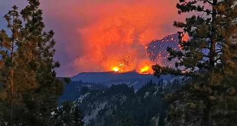 कनाडा में मिली जलवायु परिवर्तन की पहली मरीज!