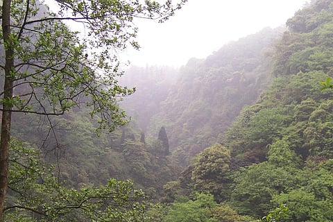 फोटो : विकिमीडिया कॉमन्स