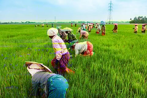 Abandonment, poverty, sexual exploitation: Why Indian women pay a higher price for climate crisis