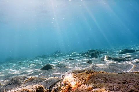 Deep-sea mining for building EV batteries: A sustainable approach or an invitation to another catastrophe?