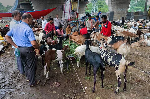 Antimicrobial Awareness Week 2021: How rethinking communication can go a long way